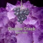 Double Crack Auto Fems