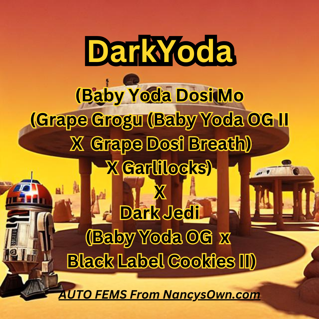 3 Dark Yoda Auto Fem 50/50 Hybrid With Slap - Image 1