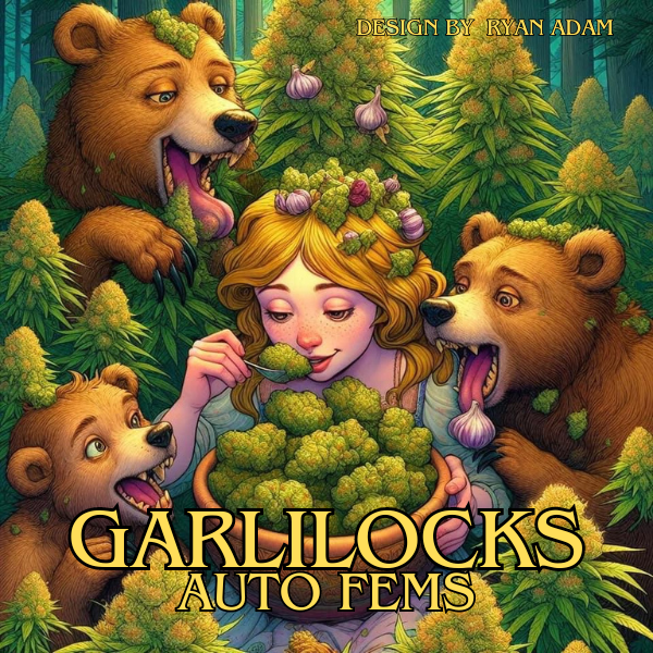 Garlilocks ΔG 50/50 Hybrid Auto Fem - Image 3