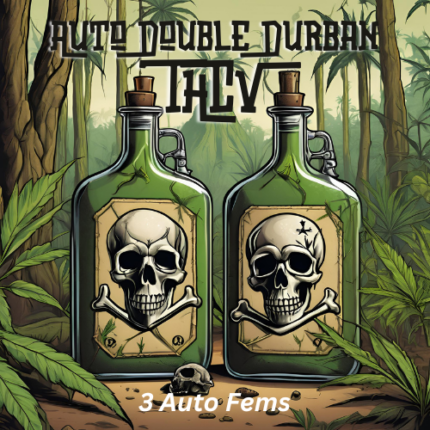 Auto Double Durban THCV