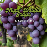 Nugz' Double Grape