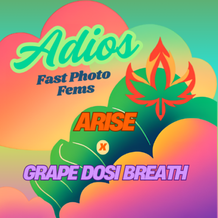 Adios