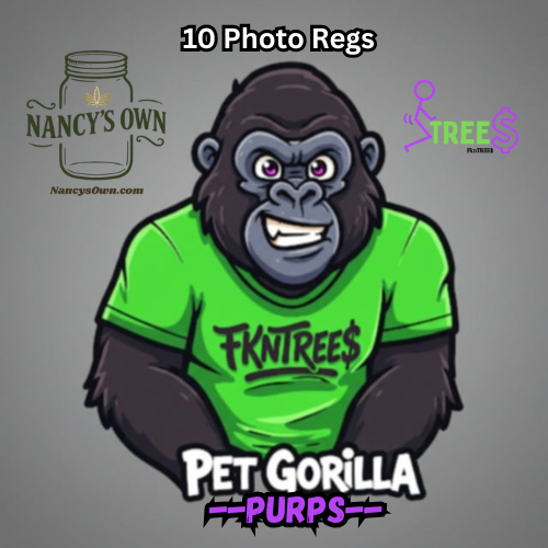 3 Strain Multi Pack Pet Gorilla-Pet Gorilla XL-Pet Gorilla Purps - Image 3