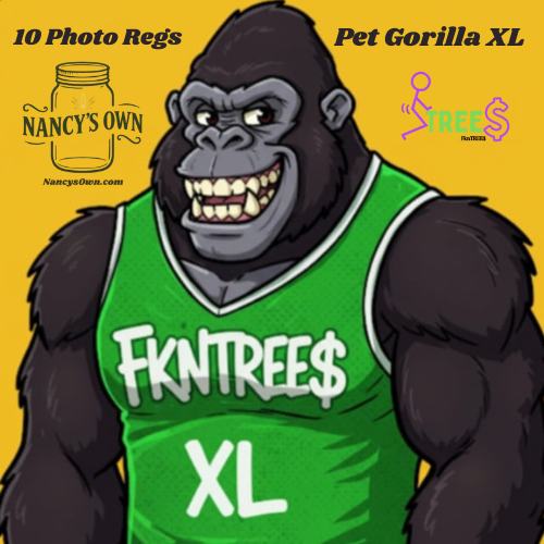 3 Strain Multi Pack Pet Gorilla-Pet Gorilla XL-Pet Gorilla Purps - Image 4