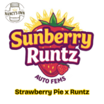 Sunberry Runtz - Image 2