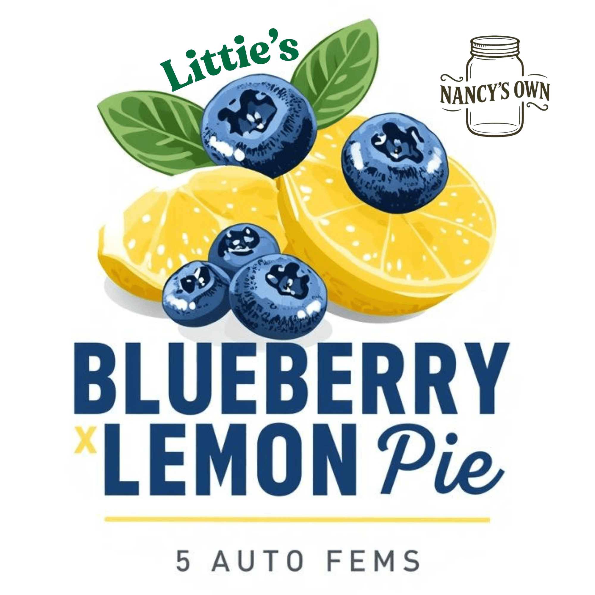Blueberry x Lemon Pie - Image 2
