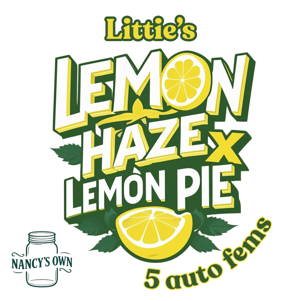 Lemon Haze x Lemon Pie - Image 2