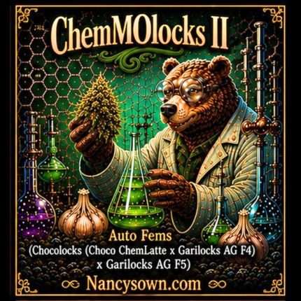 CheMOlocks II
