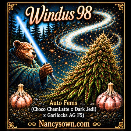 Windus 98
