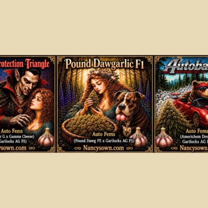 Vampire Protection Triangle | Pound Dawgarlic F1 | Autobahn E91 - Multi Pack