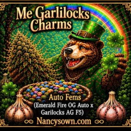 Me Garlilocks Charms