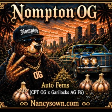 Nompton OG