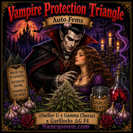 Vampire Protection Triangle