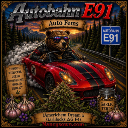 Autobahn E91